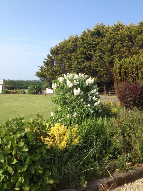 Abrae House Guest House Rosslare Harbour エクステリア 写真