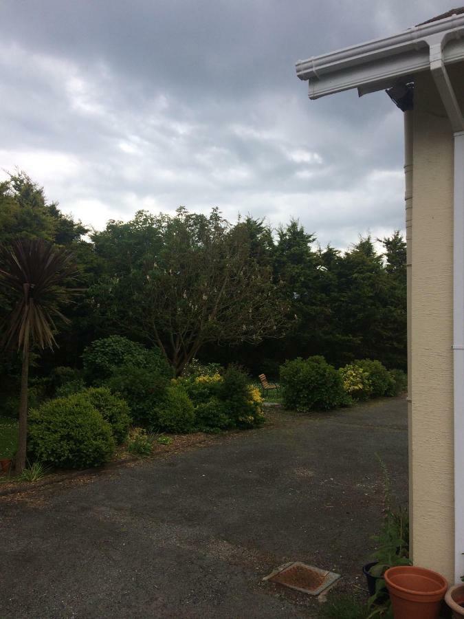 Abrae House Guest House Rosslare Harbour エクステリア 写真