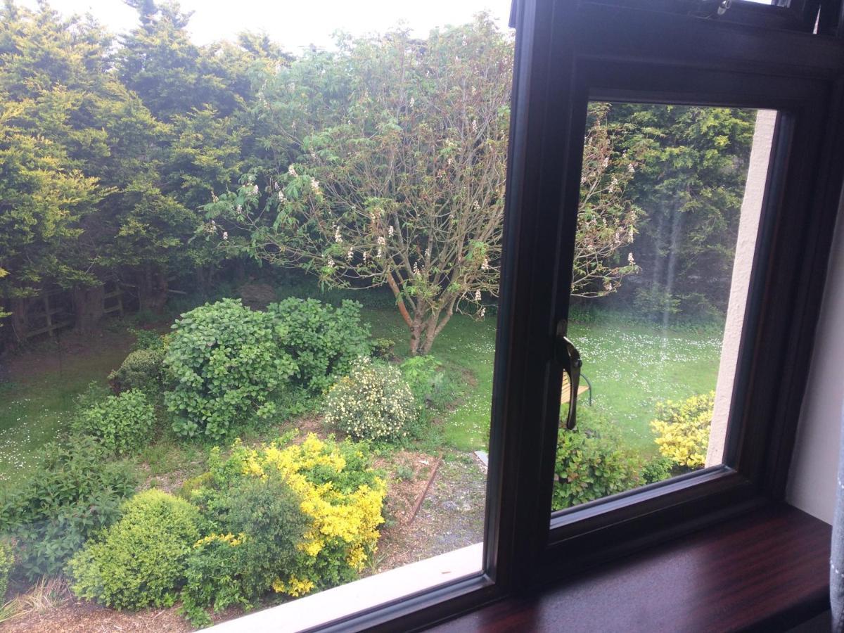 Abrae House Guest House Rosslare Harbour エクステリア 写真